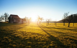 campagne-soleil