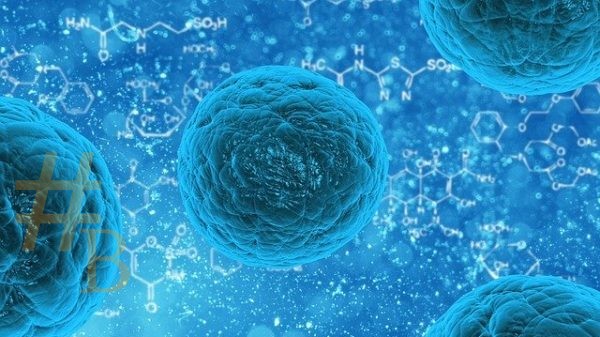 coronavirus et système immunitaire