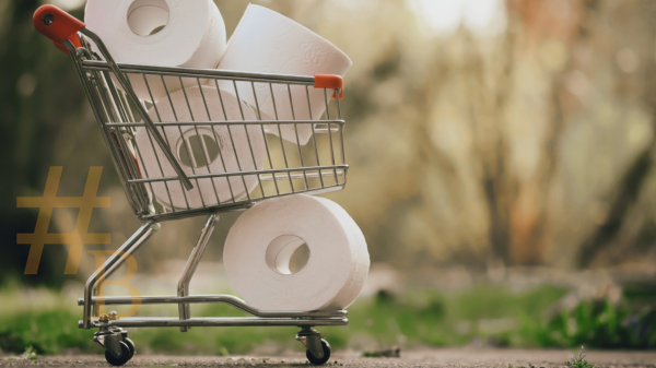 Provisions de papier toilette