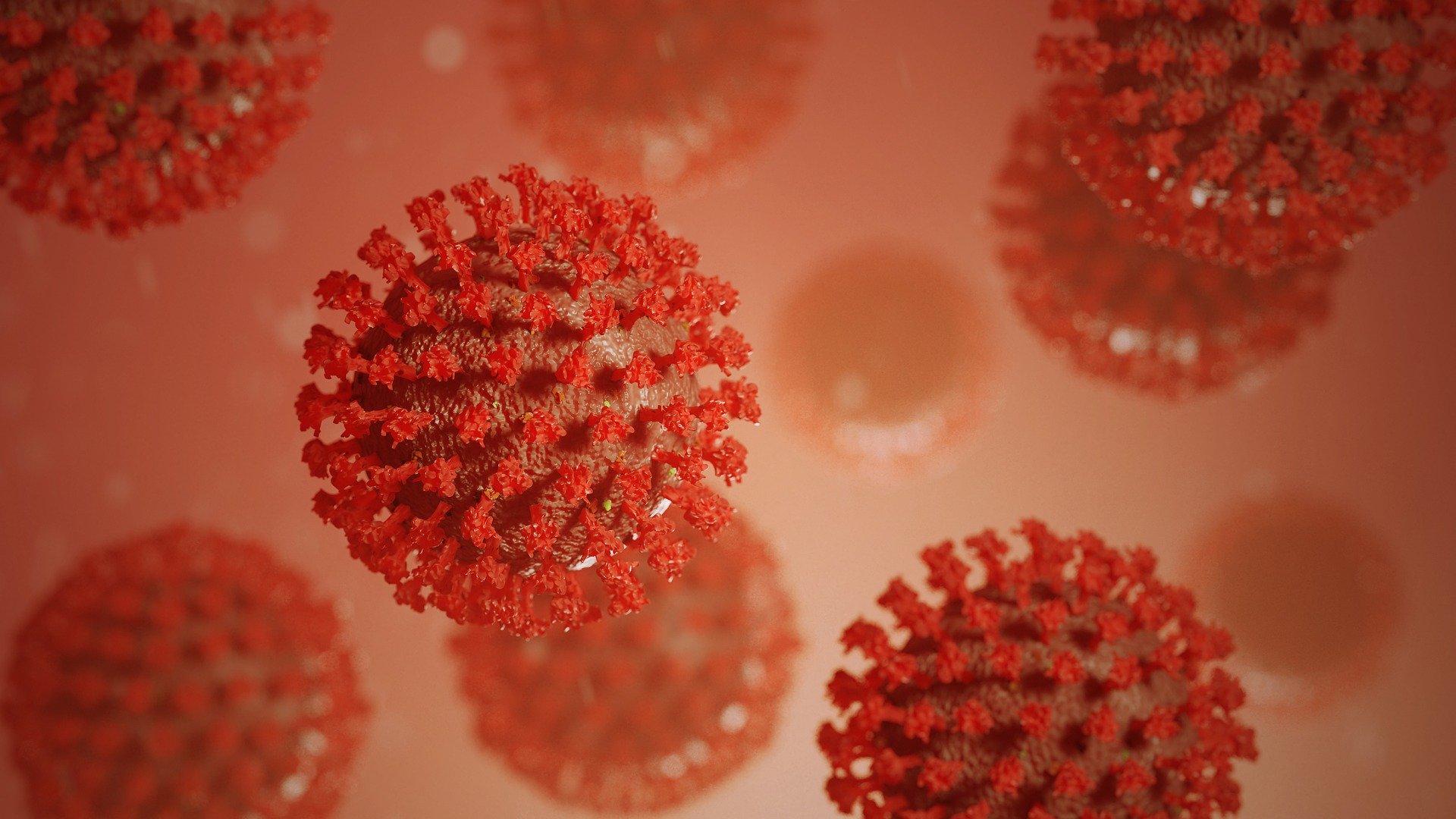 Les coronavirus ont une forme de couronne.
