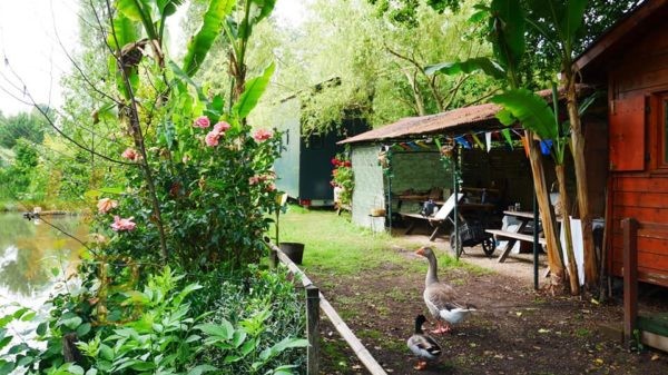 une cabane au bord de l'eau