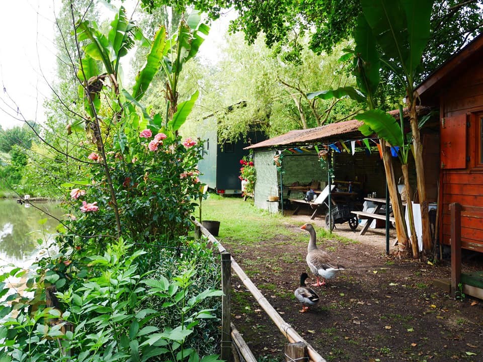 une cabane au bord de l'eau