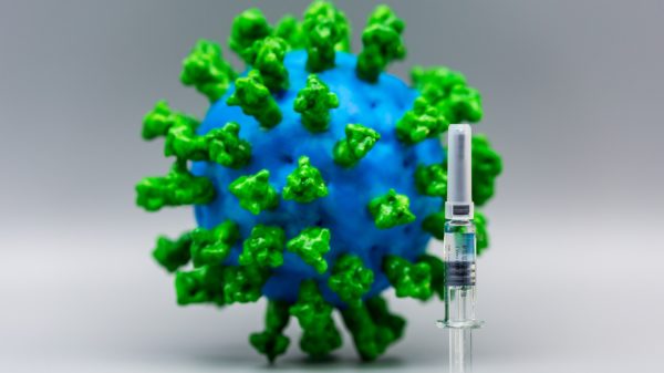 L'élaboration d'un vaccin contre le coronavirus a de bonnes chances de réussite.