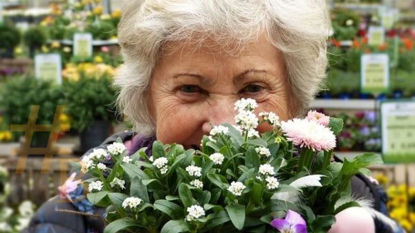 idée cadeau plus de 60 ans