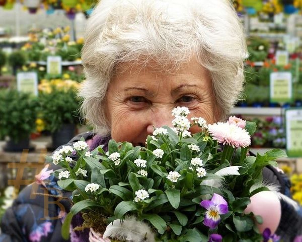 idée cadeau plus de 60 ans