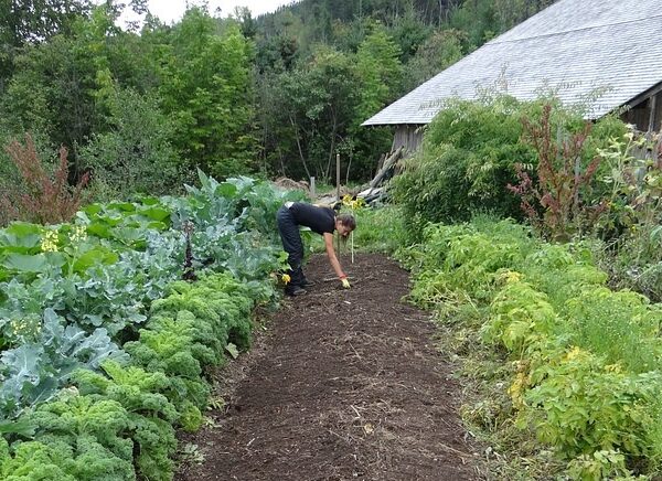 Bien démarrer un potager : les conseils du jardinier star de TikTok - Elle  Décoration